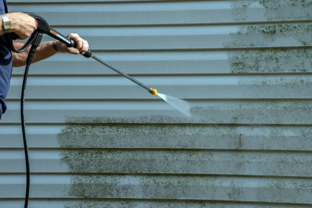 Best Exterior Home Cleaning  in Cozad, NE